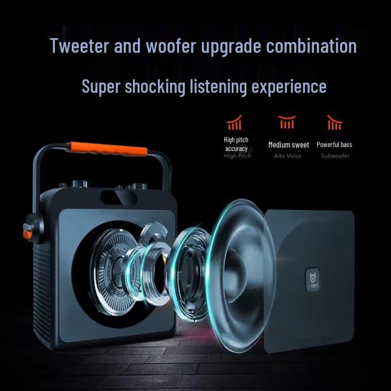 BD-H2125 Portable Bluetooth KTV Speaker with Microphones