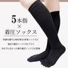 Always Comfortable Compression Compression Compression Socks [kokoromeika] Five-Toe Socks, Socks, Socks, Socks, Five-Toe Socks, Five-Toe
