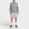 Jordan Sweatshirts Men's Gray Crew Neck Thickened Regular FB3910-091