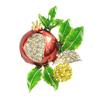 Spilla Smalto Colore Processo Gocciolamento Olio Forma Fiore di Melograno Lega di Zinco Spilla Cappotti Completi Maglioni Vestiti Distintivo Accessorio Festa