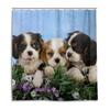 Cavalier King Charles Spaniel Hunde Duschvorhang Wasserdicht Polyester Stoff Badezimmer Duschvorhänge Badezimmer Dekoration Mit Haken