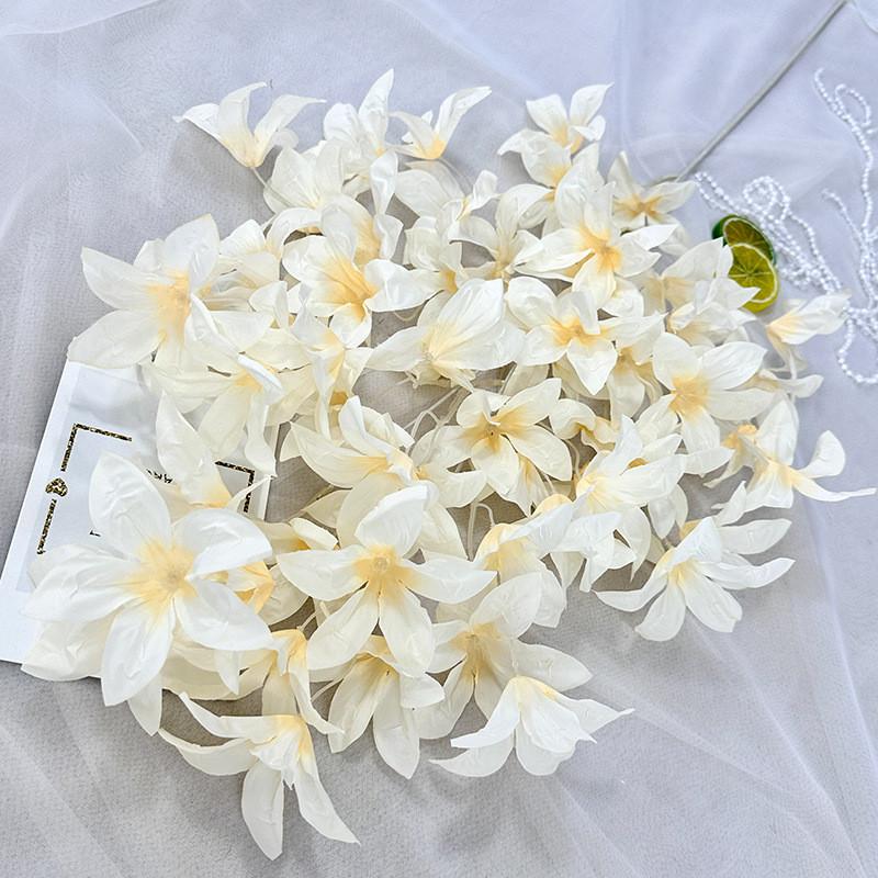 Photo Studio Wedding Backdrop Lilium Brownii Var Viridulum For Decor Event