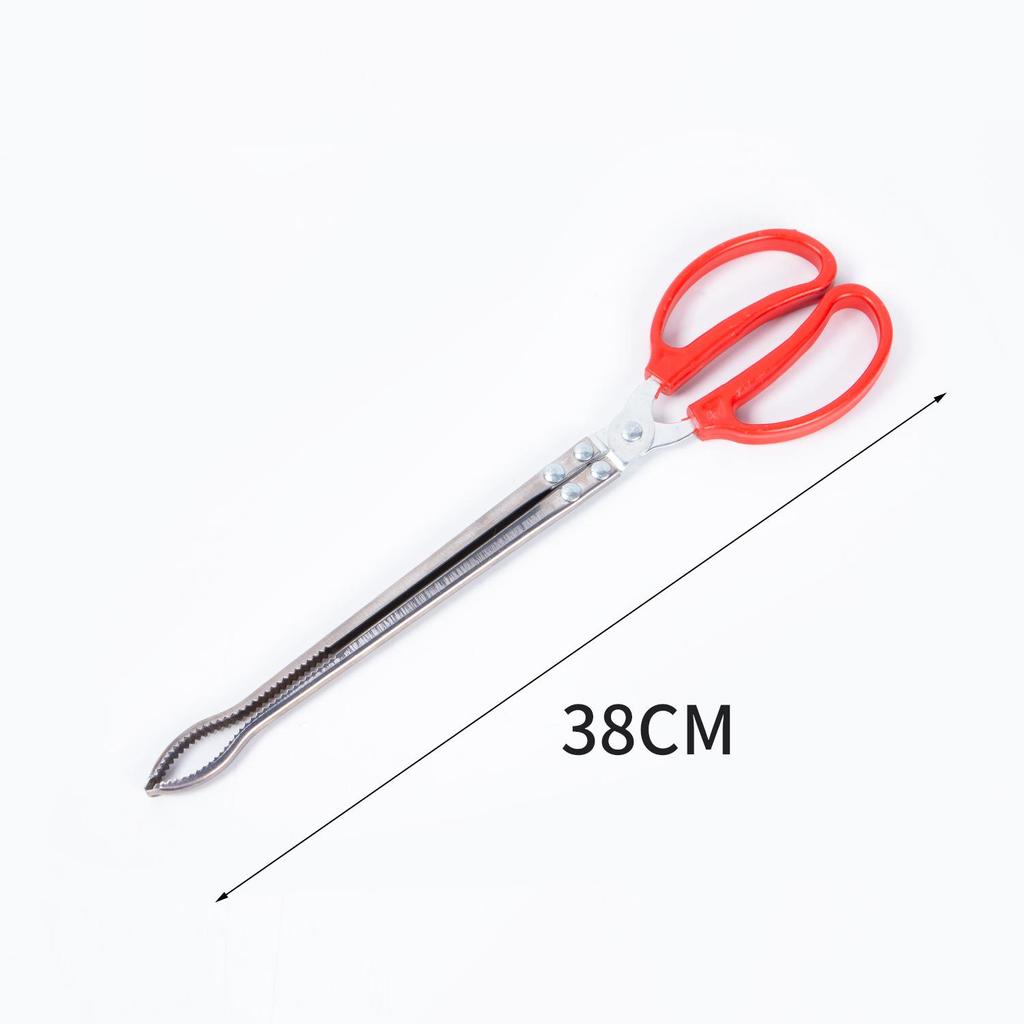 Stainless Steel Eel & Fish Grabbing Pliers - Loach & Beach Combing Tool Clamp