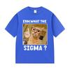 Erm What The Sigma Funny Cute Meme Graphic T Shirt Unisex Unisex Fashion Oversized T Shirts Humor Style Short Sleeve Tops Tshirt