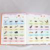 First English Words Sound Book Learning Early Educational Toy Point Reading