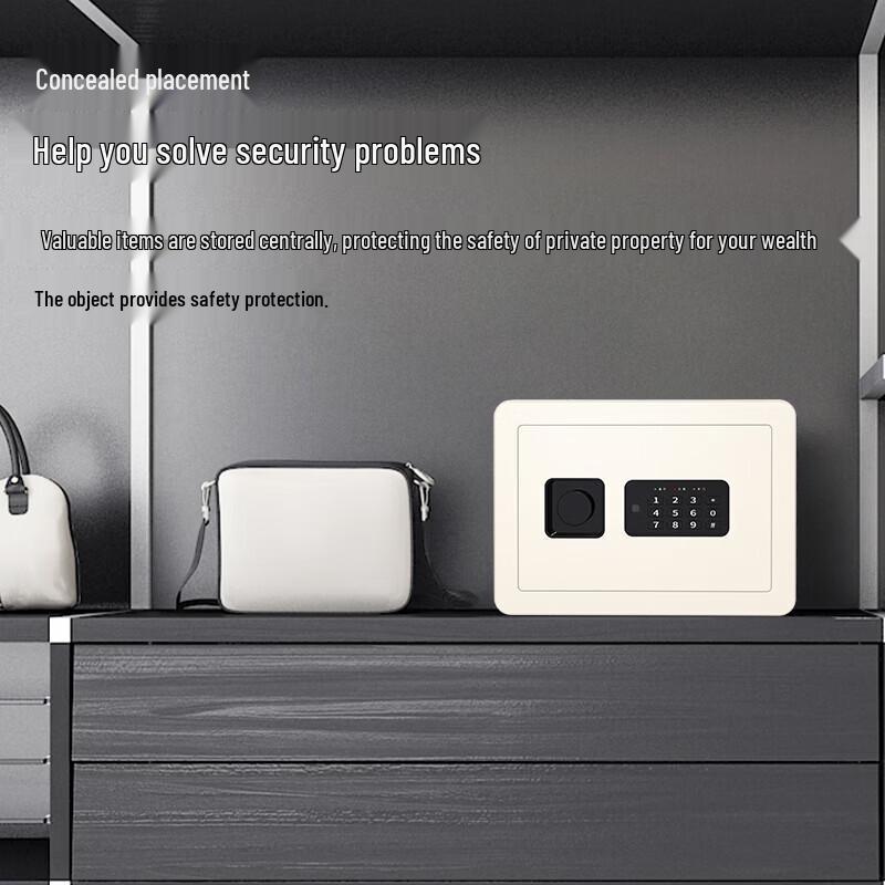Deli H250 Electronic Password Safe