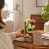 Cartoon Frog Ornament with Ladder Cute for Courtyard, Terrace