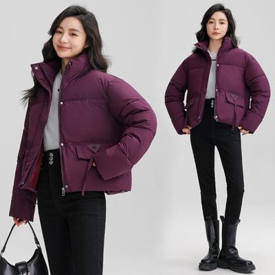 Kurze Daunen-Baumwolljacke Damen 2025 neue Mode Stehkragen Baumwolljacke, warme Winterkleidung, figurbetonende Jacke und wattierte Jacke