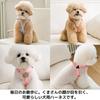 FUPUONE Dog Bear Small Dog Harness, Design, Leash, (Ivory, L)