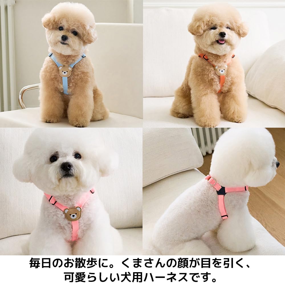 FUPUONE Dog Bear Small Dog Harness, Design, Leash, (Ivory, L)