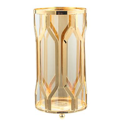 1Pcs Glass Vase Flower Arrangement Electroplate Ornaments Lron Glass Vase Hydroponic Cultivation