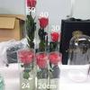 Birthday Valentine's Day Mother's Day Graduation Christmas Wedding New Year Thanksgiving Gift 20cm Tall Eternal Single Years