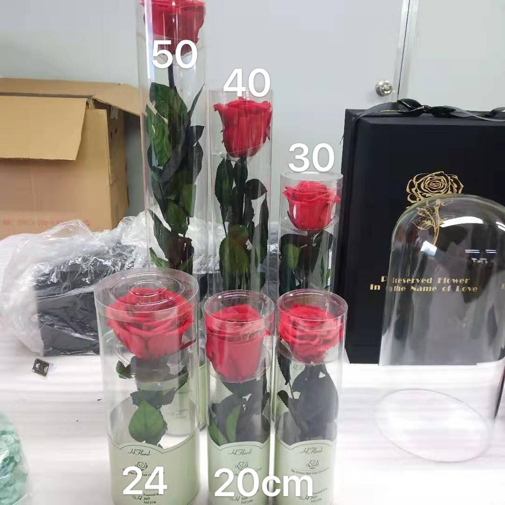 Birthday Valentine's Day Mother's Day Graduation Christmas Wedding New Year Thanksgiving Gift 20cm Tall Eternal Single Years