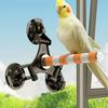 Parrots Grinding Scratcher Perch Stands Birds Stand Ceramics Stick Grinding with Suction Cup Paw Climbing Standing