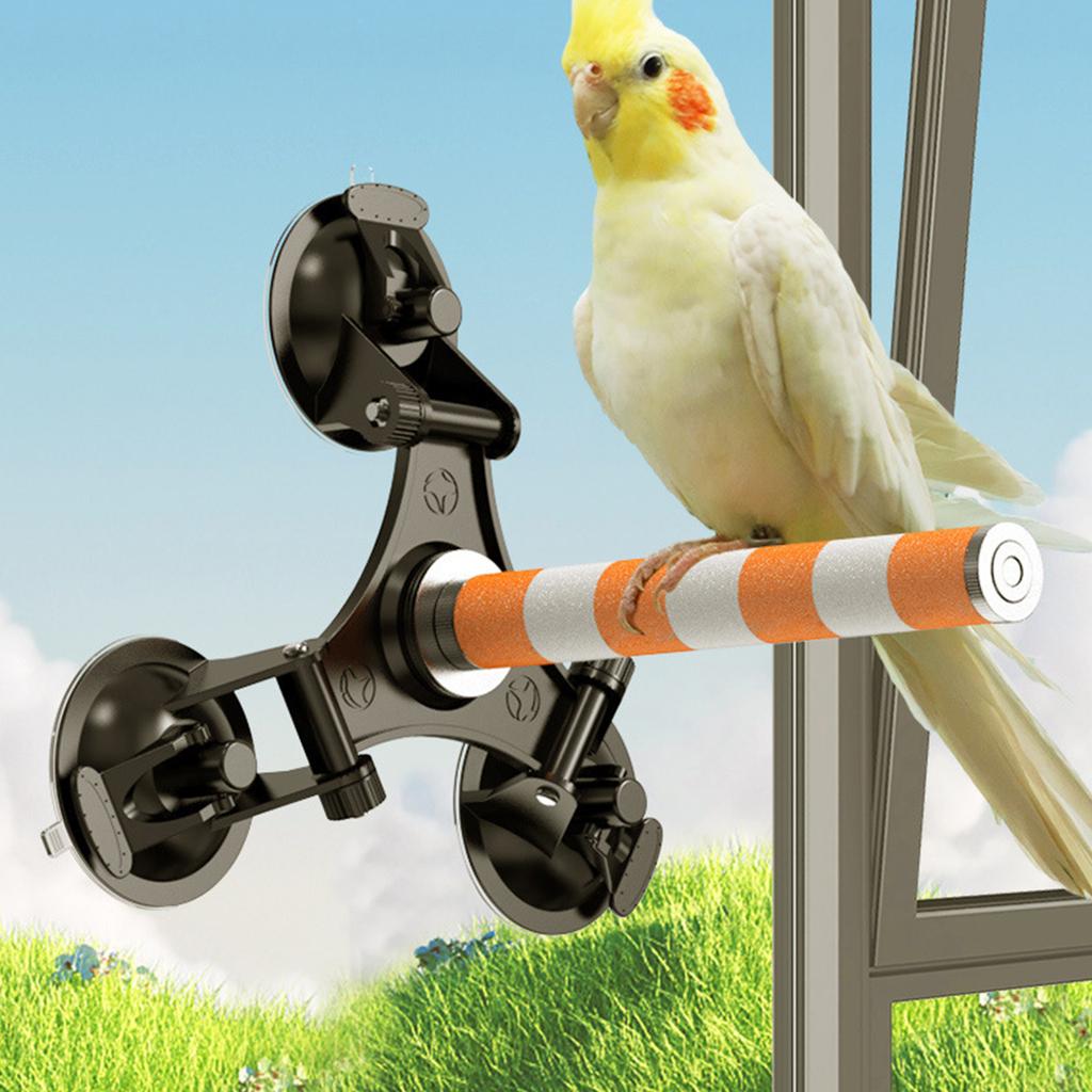 Parrots Grinding Scratcher Perch Stands Birds Stand Ceramics Stick Grinding with Suction Cup Paw Climbing Standing
