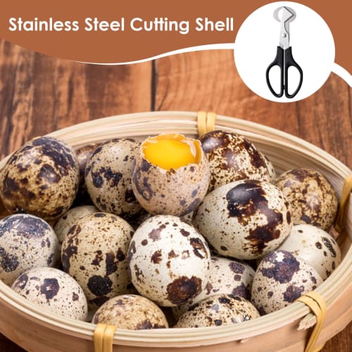 Quail Egg Scissors - Quail Egg Scissors - Stainless Steel Quail Egg Cutter | Quail Egg Cracker, Egg Shell Separator with Handle | Small Quail Egg Peel