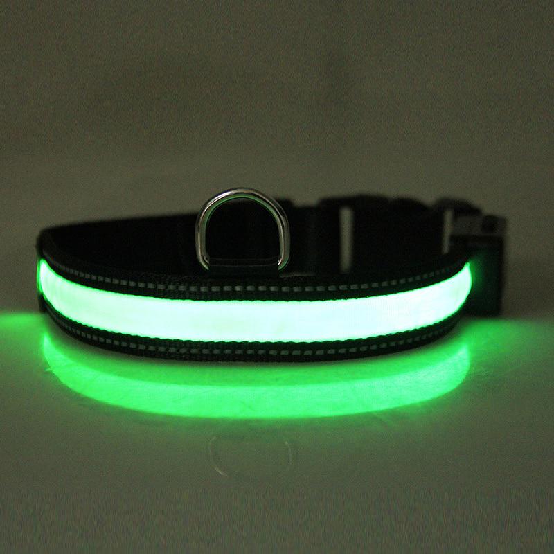halsbänder hund Personalisiertes Hundehalsband inkl. Telefonnummer – Dogrocket Shop main image 1