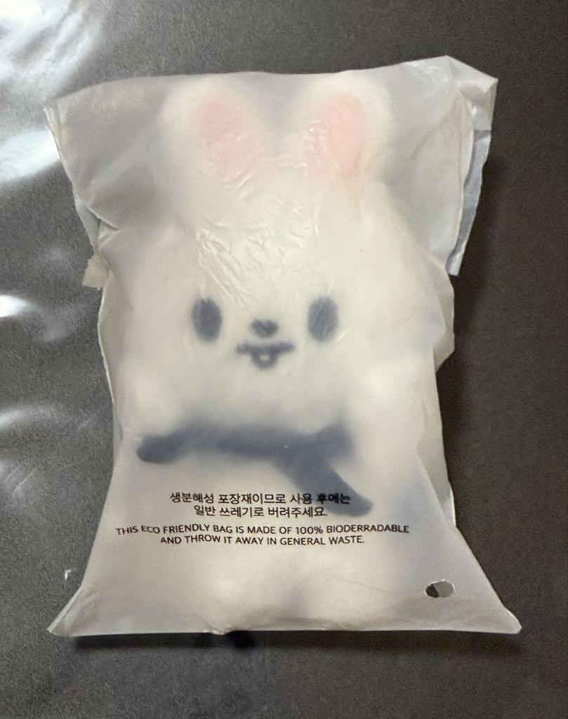 [USED] Stray Kids Levitt Magnet Key Ring