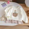 Girls Spring Autumn Sweet Plaid Floral Fake Two Piece Sweatshirt Dress Baby Cute Long Sleeve Dress For Little Kids