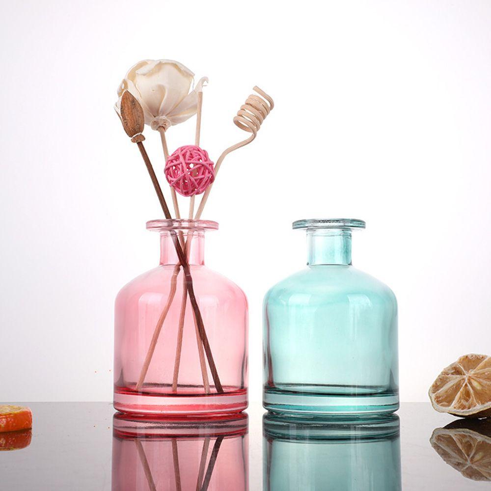 Hydroponic Plant Living Room Glass Bottle Home Decoration Flower Vase Glass Vase Table Decor