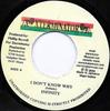 7inch Record INFINITY 32  I Dont Know Why NONE XTerminator 2004 Jamaica Reggae Ska  Dub Used
