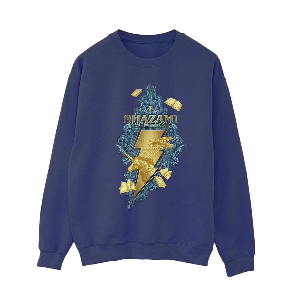 DC Comics Womens/Ladies Shazam Fury Of The Gods Golden Animal Bolt Sweatshirt