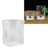 Reptile Insect Enclosure     Acrylic High Transparency Moisturizing Reptile Insect Breeding Box