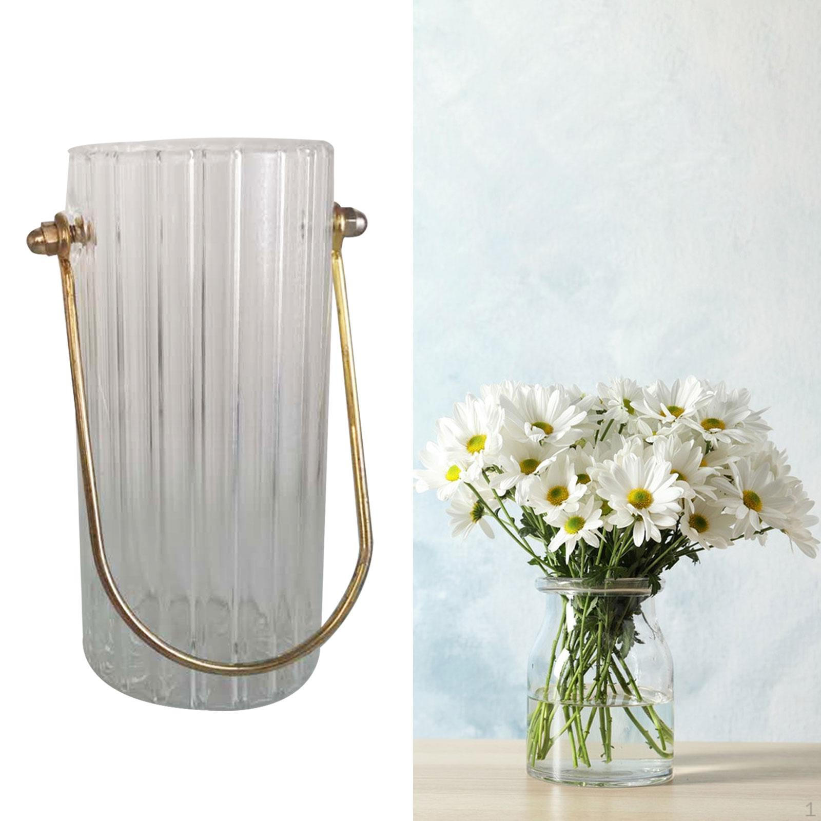 

Прозрачный цилиндр, стеклянная ваза для цветов, декоративная деталь с металлической ручкой для переноски для свадебной гостиной 9x20cm