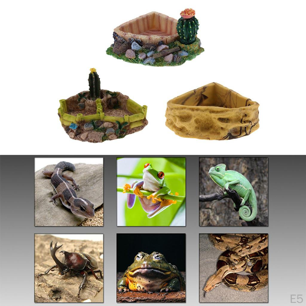Food Dish Water Bowl Feeder Basin for Amphibians