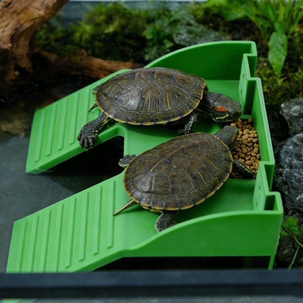Double Ladder Turtle Basking Platform Plastic Feeding Platform Aquatic Turtles