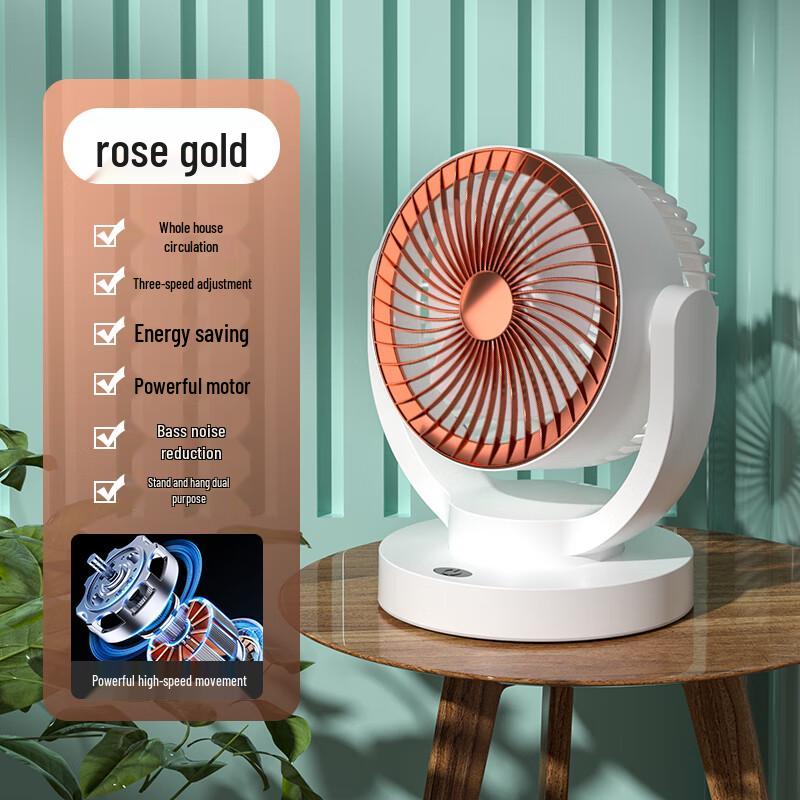 Dai Feng Desktop Circulation Fan