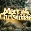 Waterproof Merry Christmas Letter Lights Three-dimensional Christmas Neon Light  Room