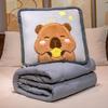 2-in-1 Convertible Pillow Blanket