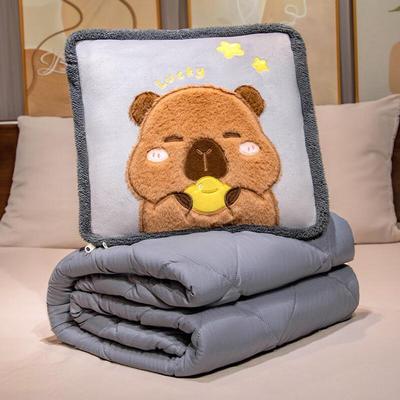 2-in-1 Convertible Pillow Blanket
