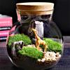 Micro Landscape Glass Bottles with Cork Lid Glass Vase Bryophyte Moss Plant Container Glass Terrarium  Bonsai Desktop Decoration