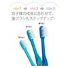 skater toothbrush for elementary school students, 6-12 years old, soft, clear, 3 pieces spyfamily 15.5cm tbcr6t-a
