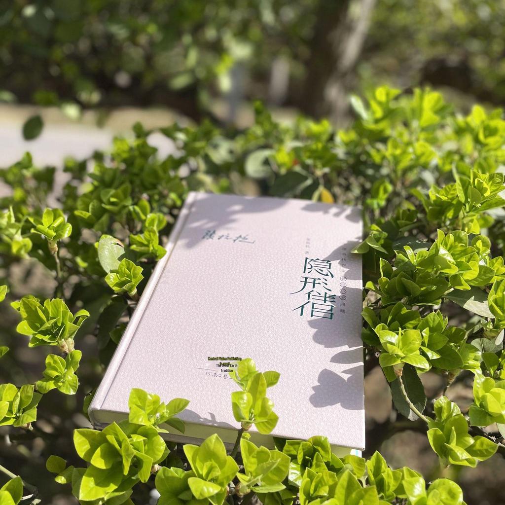 "Invisible Companion" by Zhang Kangkang: Contemporary Chinese Novel Collection