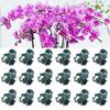 Pflanzen-Orchideen-Clips Garten-Pflanzenstützclip Kunststoff-Blumenranken-Clips zur Stützung von Stängeln, Ranken, Stielen, Kletterpflanzen wachsen aufrecht