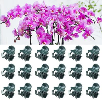 Pflanzen Orchideen Clips Garten Clip Plastikclips zur Unterstützung Blumenranke Pflanzenstütze Stiele Ranken Stängel Kletterpflanze