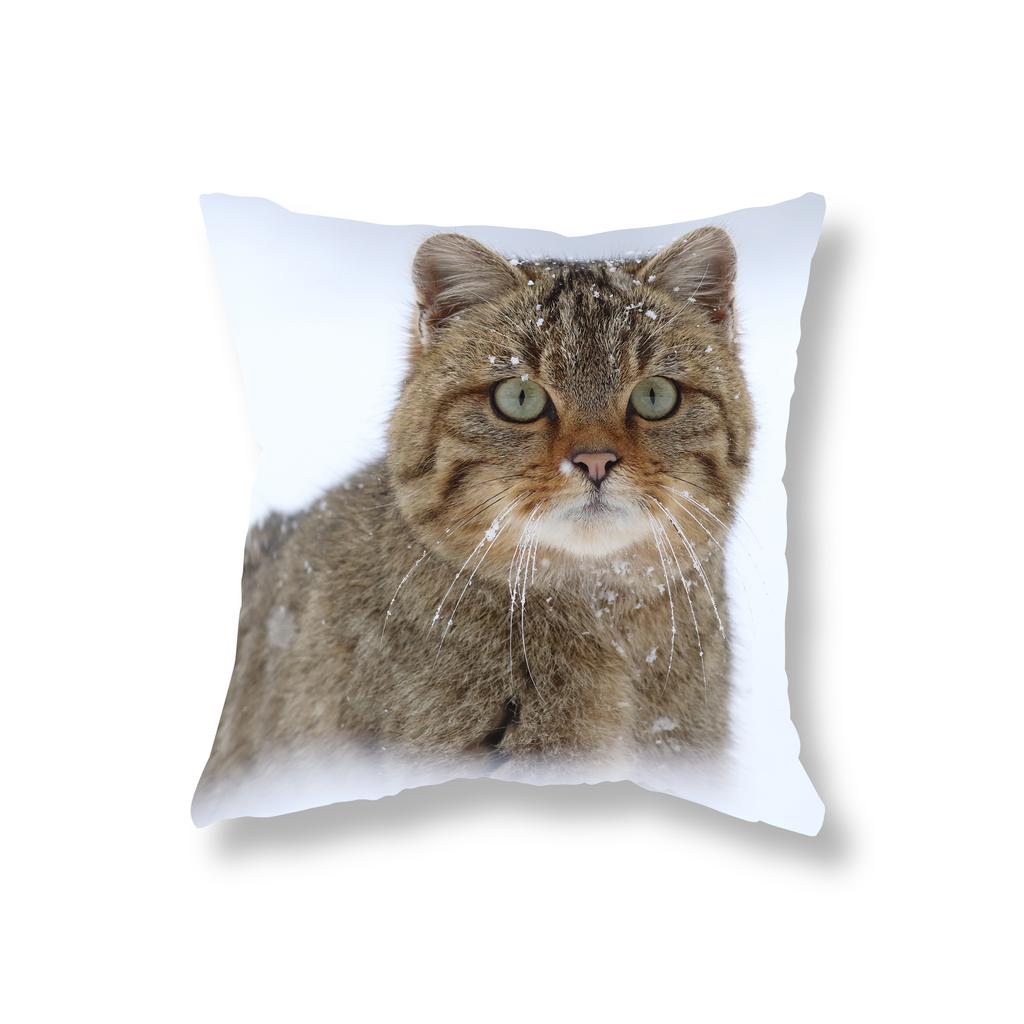 Cute Kitten Throw Pillowcase Sofa Party Decoration Office Game Chair Cushion Cover Room Bedside Home Decor Pillowcase 45x45cm