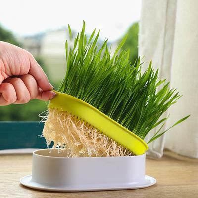 Květináče a truhlíky na zahradu – Pěstební nádoby