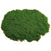 Simulation Moss Diy Artificial Moss Green Plant Decoration Landscaping Bonsai Pavement Silky Fake Moss