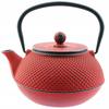 Cast Iron Kettle 0.8L Imbrzk Infuser Tea Strainer + Heater