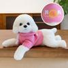 Hoodie Teddy Dog Plush Toy Cute Cartoon Collar Animal Doll Girl Gift Birthday