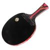 DHS H8002 8-Star Arylate Carbon Table Tennis Racket