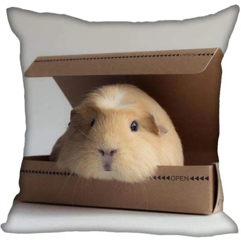 Living Room Pillowcase Guinea Pig   Modern Home