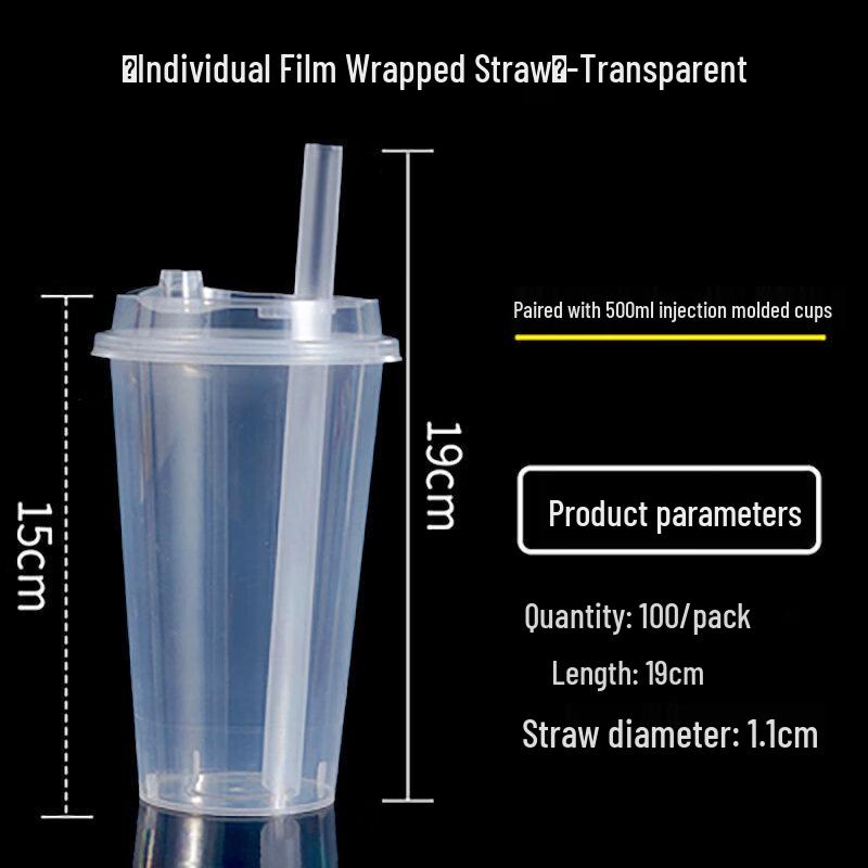 ZISIZ Disposable Plastic Straws