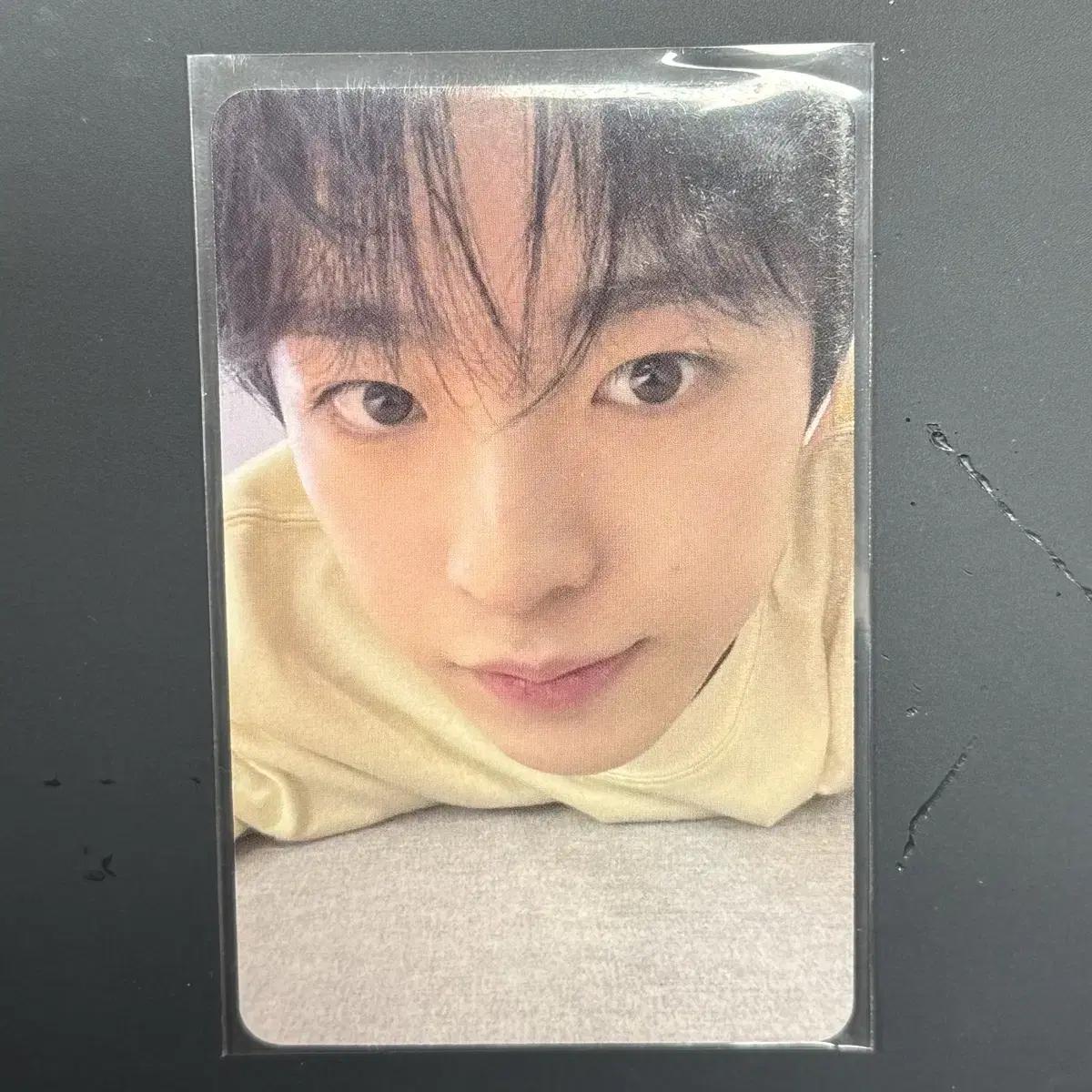 

Yushi Apple Music Songbird Foca