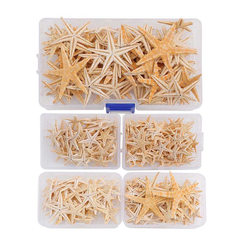 100 ks Přírodní hvězdice Seashell Beach Craft Natural Diy Wedding Home Decor