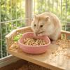 Voor dieren – Knaagdieren